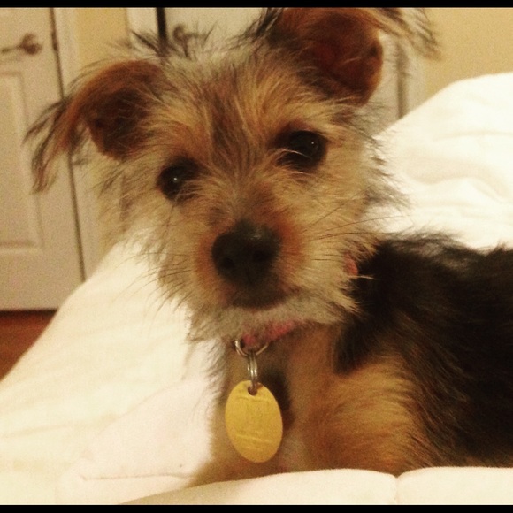 Meet your Posher, Margaret - Picture 1 of 1